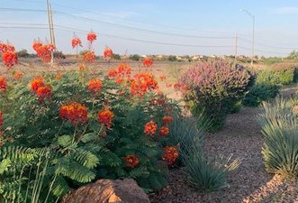 View of Horizon City during a Marian Inc. company outing