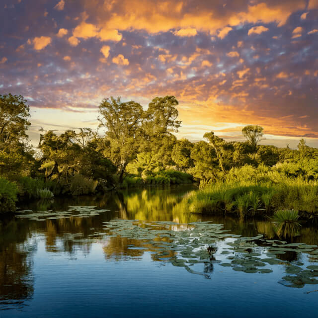 Marian is Louisiana’s Go-to OEM Converter